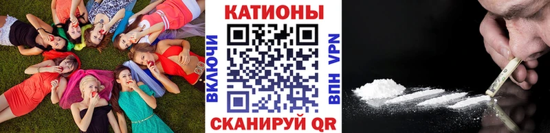 Купить закладки  Вязьма  Мефедрон мука 