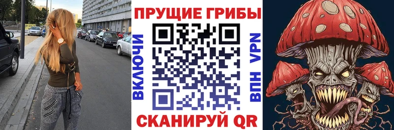 Купить  Вязьма  Галлюциногенные грибы Psilocybe 