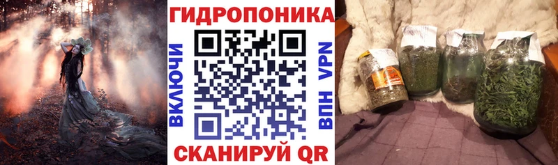 Купить где  Вязьма  Канабис семена 